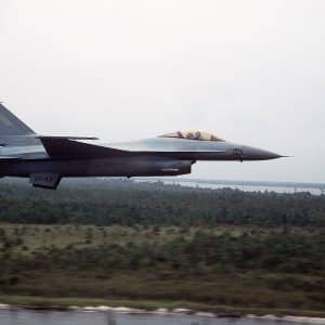 Faucon de combat F-16N